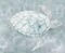 Sea Turtle�_ Poster Print by Stellar Design Studio Stellar Design Studio # TV042A